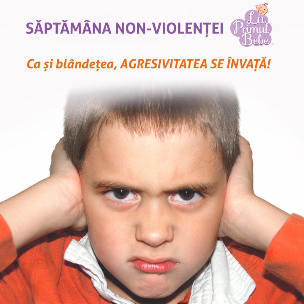 Campania antiviolenta, POZA 2 - AGRESIVITATE